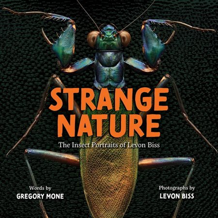 Strange nature : The insect portraits of Levon Biss : Anglais : Hardcover : Couverture rigide