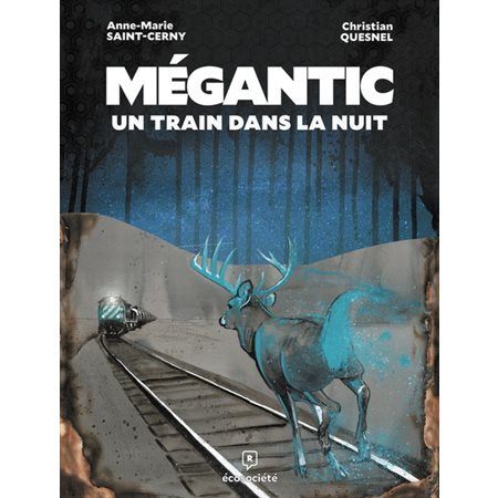Mégantic, un train dans la nuit : Bande dessinée