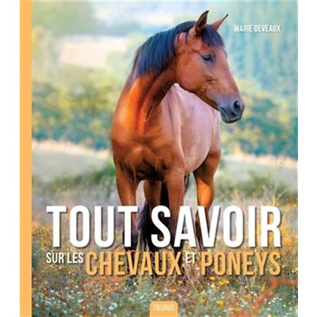 Tout savoir sur les chevaux et poneys