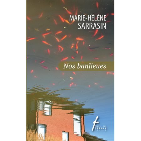 Nos banlieues