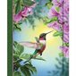 Colibri & fleur : Grand journal