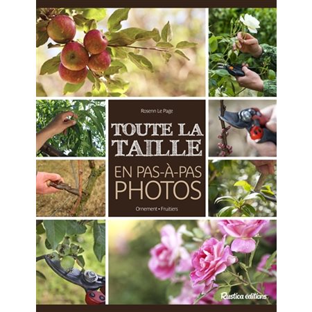 Toute la taille : En pas à pas photos : Ornement, fruitiers