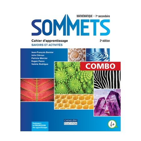 Sommets 1er Sec : Cahier d'apprentissge  2e édittion : COMBO Papier + Web : 2024