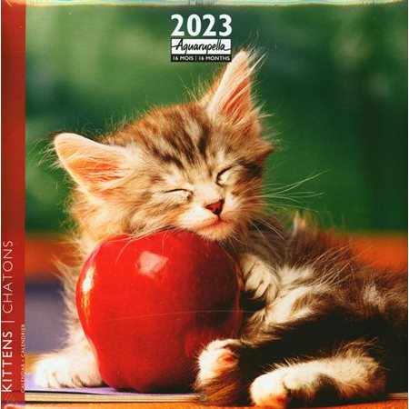 Chatons : Calendrier 2023 : Aquarupella : 16 mois