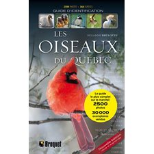 Les oiseaux du Québec : Nouvelle édition revue et augmentée