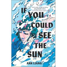 If you could see the sun : Anglais : Hard cover