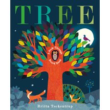 Tree : A Peek-Through : Anglais : Board Book : Livre cartonné