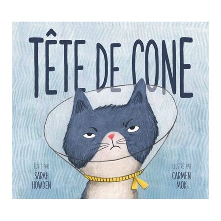 Tête de cône : Couverture rigide