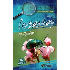 Insectes du Québec : Guide d'identification : Jeunes explorateurs : Nouvelle édition
