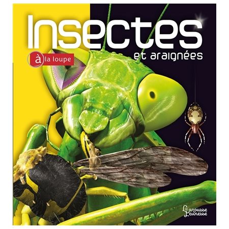 À la loupe : Insectes et araignées