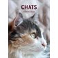 Agenda Chats 2024