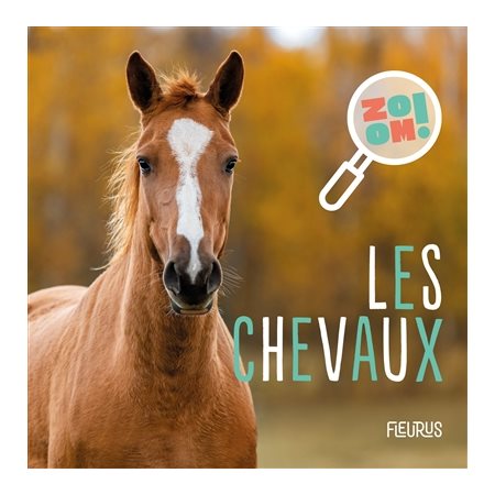 Les chevaux