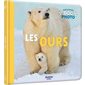 Les ours : Mon premier doc photo