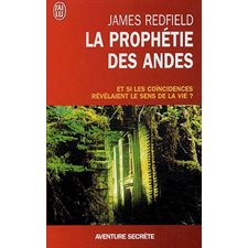 La prophétie des Andes (FP) : Et si les coïcidences révélaient le sens de la vie ?