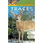 Traces d'animaux du Québec : guide d'identification