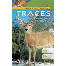 Traces d'animaux du Québec : guide d'identification