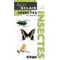 Insectes du Québec - Guide éclair