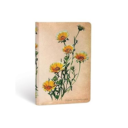Painted Botanicals : Marguerites des bois : Rigide : Mini : Ligné