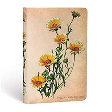 Painted Botanicals : Marguerites des bois : Rigide : Mini : Ligné