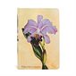 Painted Botanicals : Orchidée Brésilienne : Rigide : Mini : Ligné