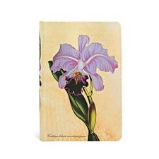 Painted Botanicals : Orchidée Brésilienne : Rigide : Mini : Ligné