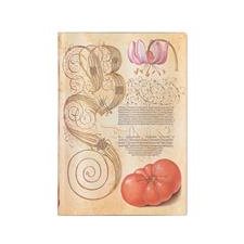 Lily & Tomato : Flexis : Midi : Ligné