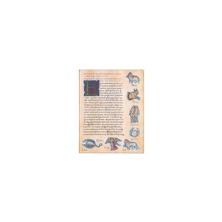 Astronomica : Flexis : Ultra : Ligné