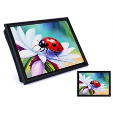 COUSSIN DE LECTURE COCCINELLE