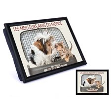 COUSSIN DE LECTURE MEILLEURS AMIS