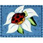 COUSSIN LECTURE GLISSADE HIVERNALE
