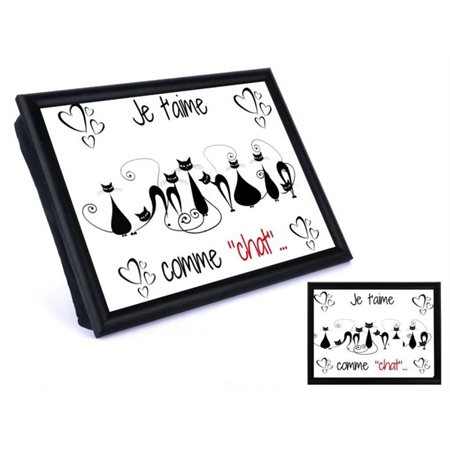 COUSSIN DE LECTURE JARDIN DE GIVRE