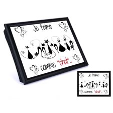 COUSSIN DE LECTURE JARDIN DE GIVRE