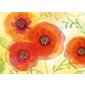 COUSSIN DE LECTURE COQUELICOT