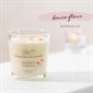 BOUGIE ÉCO-PLANT 270gr MAGNOLIA