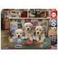 CASEE-TETE 500 MRX CHIOTS