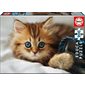 CASSE-TETE CHATONS 200pcs
