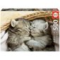 CASSE-TETE 500 DOUX CHATONS