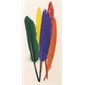 PLUMES CANARD 7" (12)  ASSORTIES