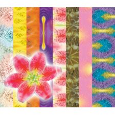 PAPIER MOTIF FLEURS (32)