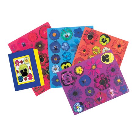 FLEURS SUR PAPIER @12 ASS.