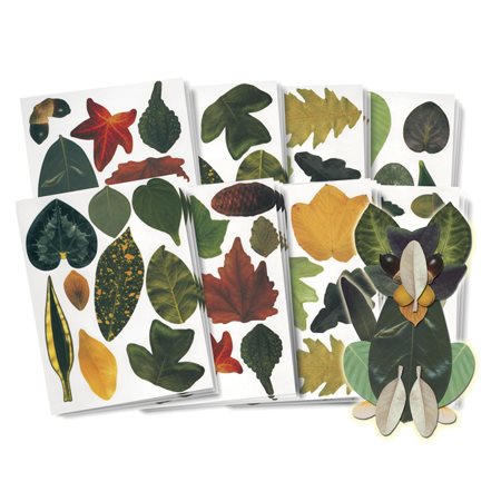 PAPIER FORMES FEUILLES ASS.