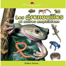 Les grenouilles et autres amphibiens : Mini monde vivant