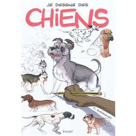 Je dessine des chiens