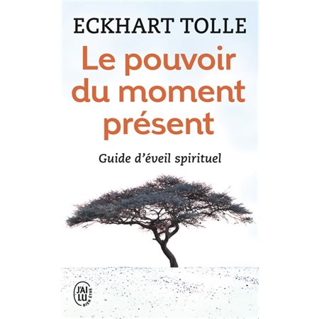 Le pouvoir du moment présent (FP) : Guide d'éveil spirituel