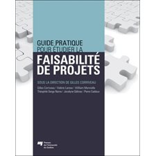 Guide pratique pour etudier la faisabilite de projets