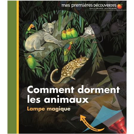 Comment dorment les animaux ? : Mes premières découvertes. Lampe magique