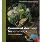 Comment dorment les animaux ? : Mes premières découvertes. Lampe magique