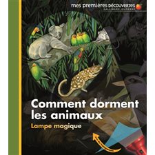 Comment dorment les animaux ? : Mes premières découvertes. Lampe magique