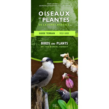Oiseaux et plantes de la forêt boréale