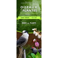 Oiseaux et plantes de la forêt boréale